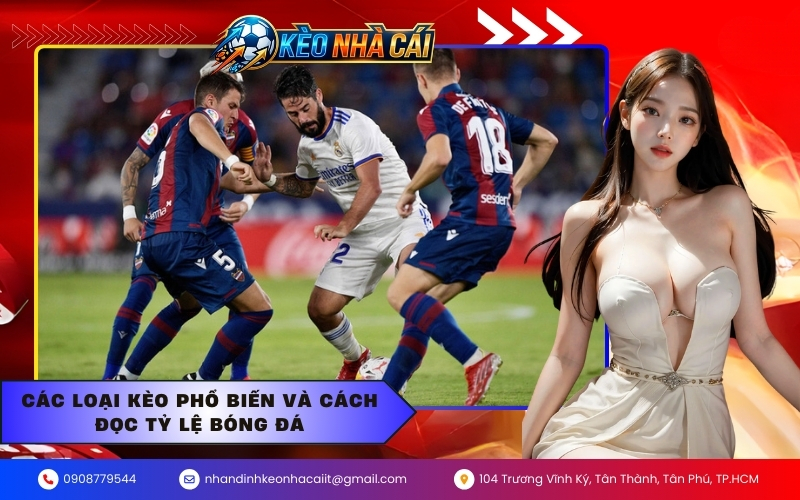 Các loại kèo phổ biến và cách đọc tỷ lệ bóng đá