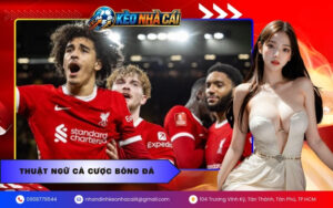 Thuật ngữ cá cược bóng đá