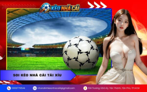 soi kèo nhà cái Tài Xỉu