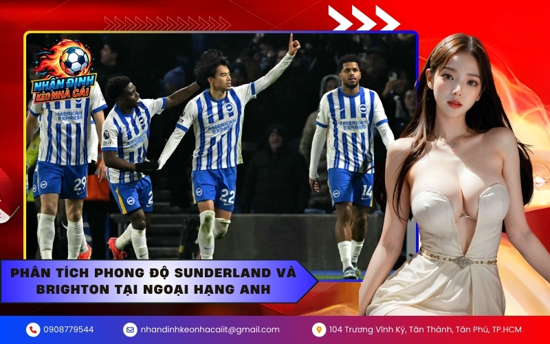 Phân tích phong độ Sunderland và Brighton tại Ngoại hạng Anh